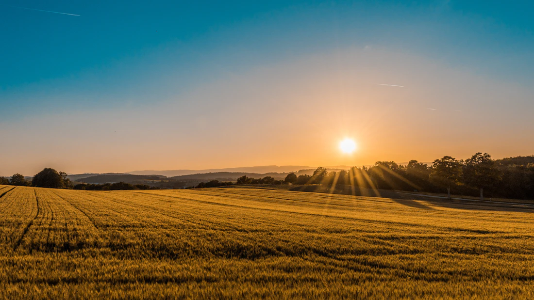 Open land and agricultural fields beneath a wide sky